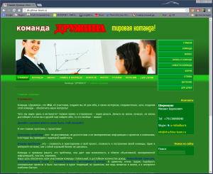 druzhina-team.ru